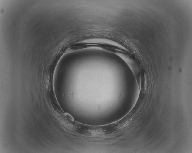 X0000083620693200702201316
