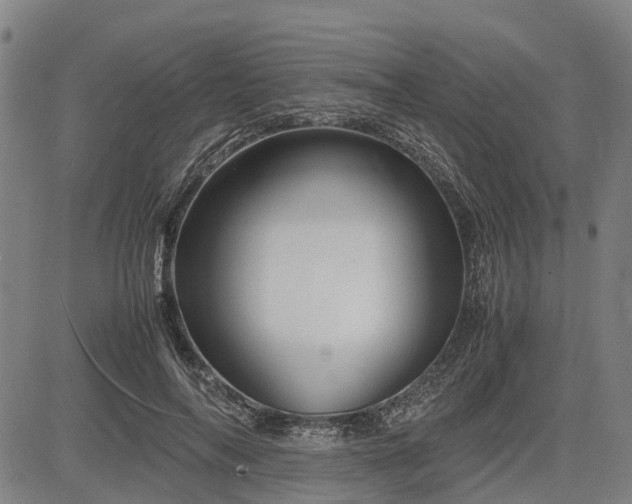 X0000083620694200702201316