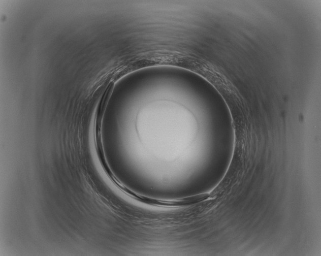 X0000083620696200702201316
