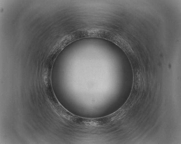 X0000083620698200702201316