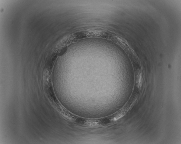 X0000083620701200702201316