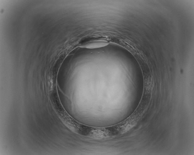 X0000083620703200702201316