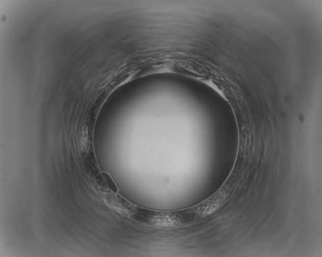X0000083620704200702201316