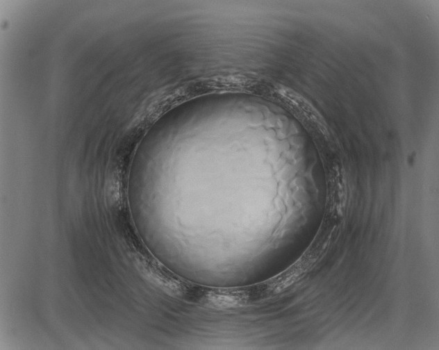 X0000083620706200702201316