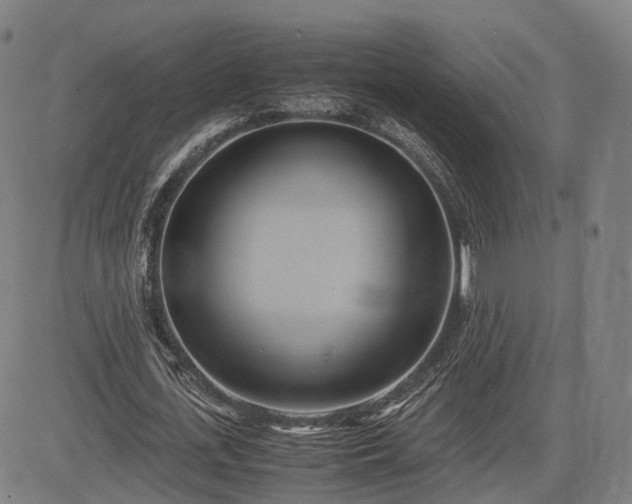 X0000083620723200702201315