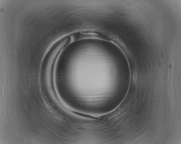 X0000083620724200702201315