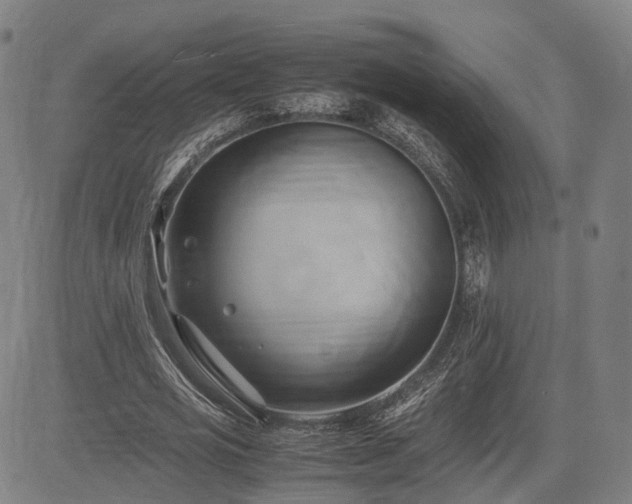 X0000083620725200702201315