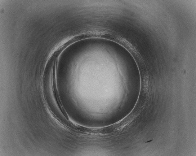 X0000083620726200702201315