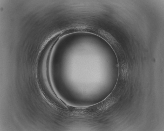 X0000083620728200702201315