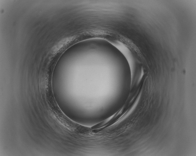 X0000083620732200702201315