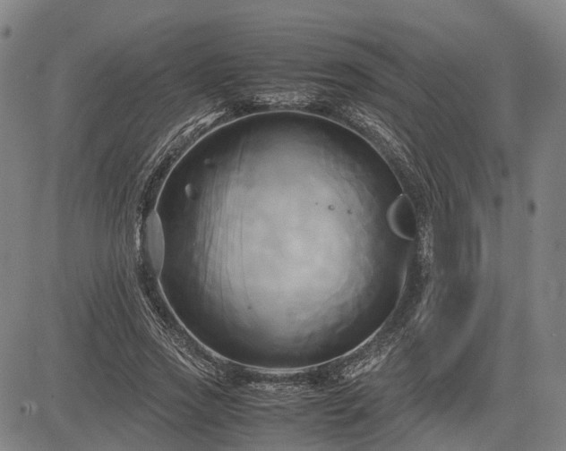 X0000083620733200702201315