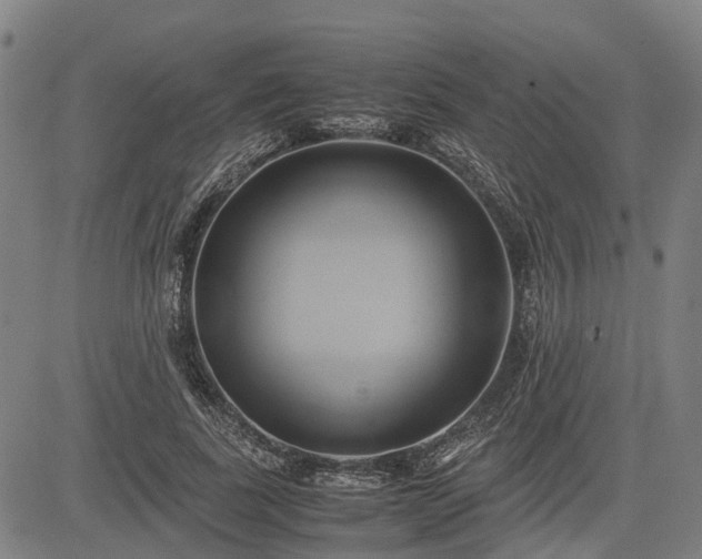X0000083620739200702201315