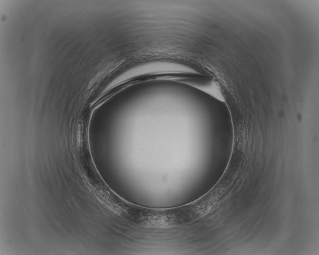 X0000083620740200702201315