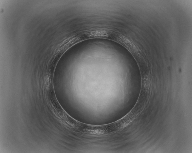 X0000083620741200702201315