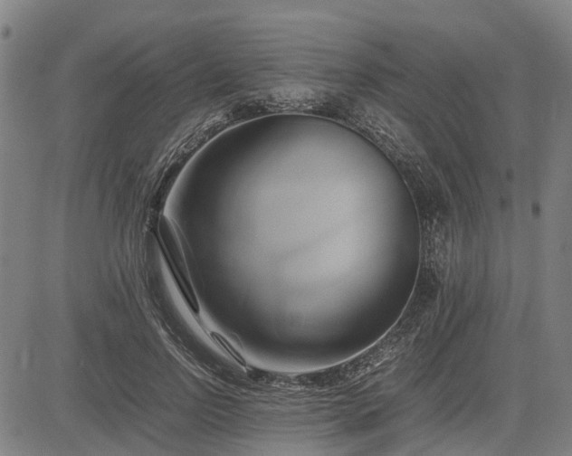 X0000083620742200702201315