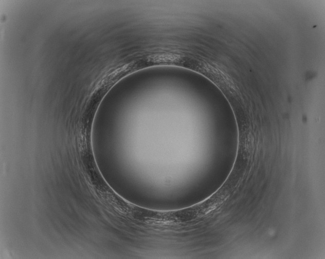 X0000083620743200702201315