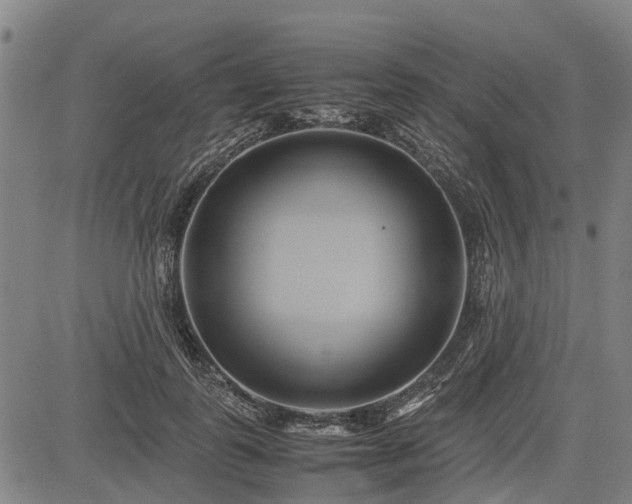 X0000083620747200702201315