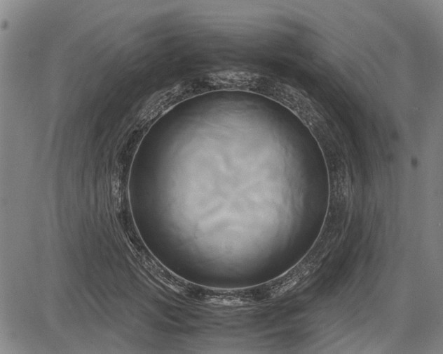 X0000083620749200702201316