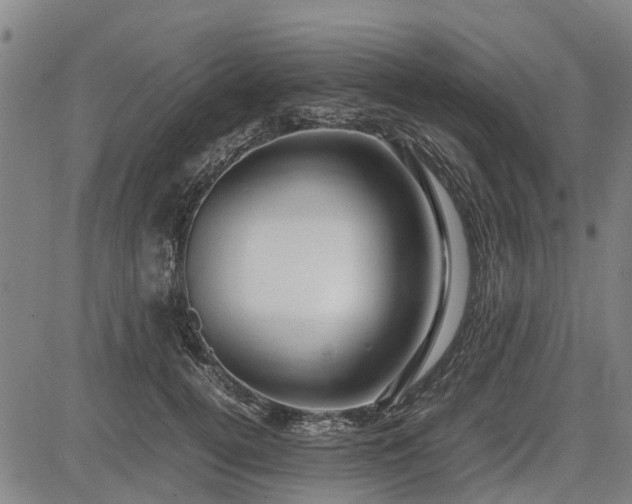 X0000083620752200702201316