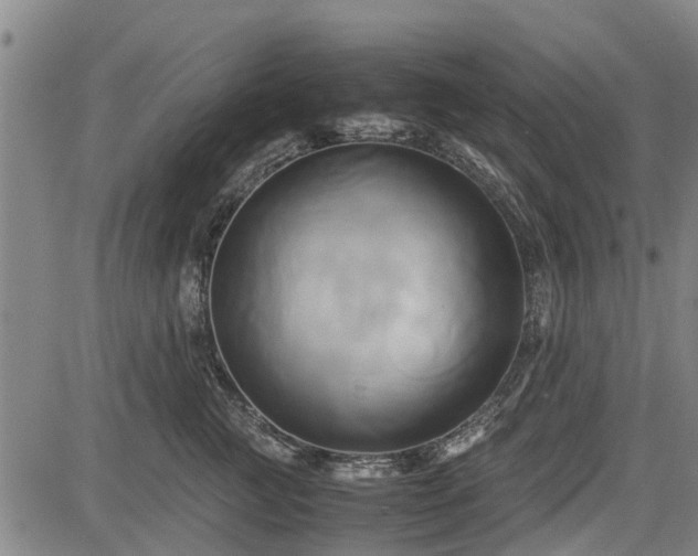 X0000083620761200702201316