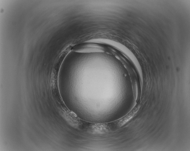 X0000083620762200702201316