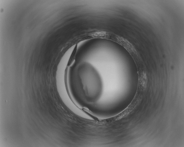 X0000083620763200702201316