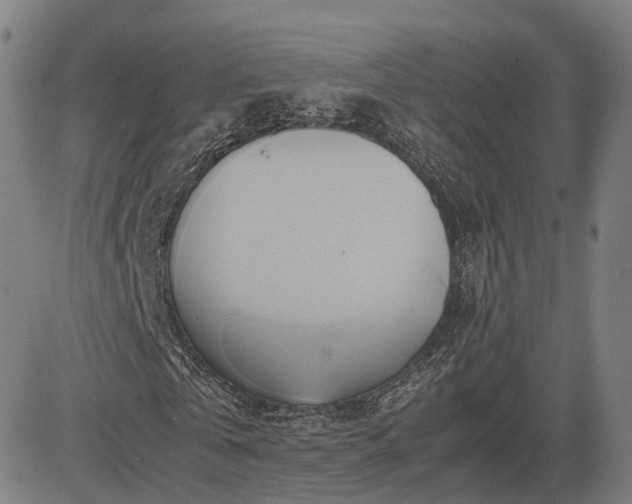 X0000083620769200702201315
