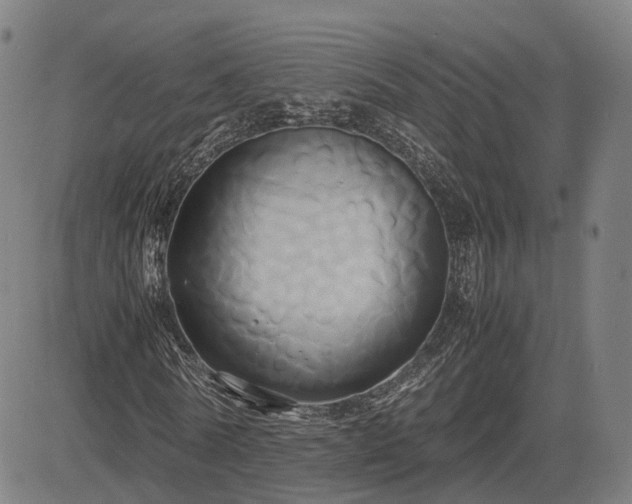 X0000083620770200702201315
