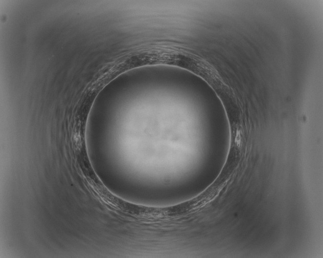 X0000083620771200702201315