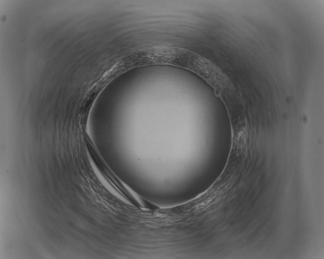 X0000083620772200702201315