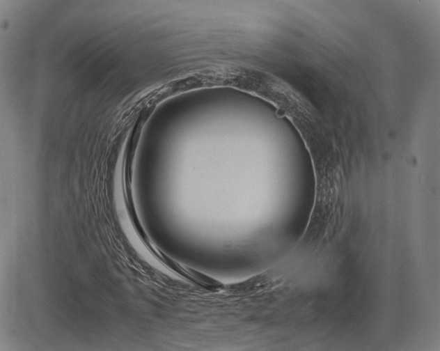 X0000083620773200702201315