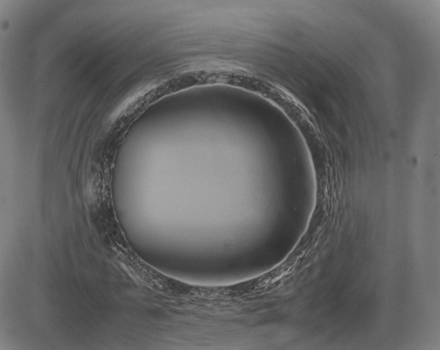 X0000083620775200702201315