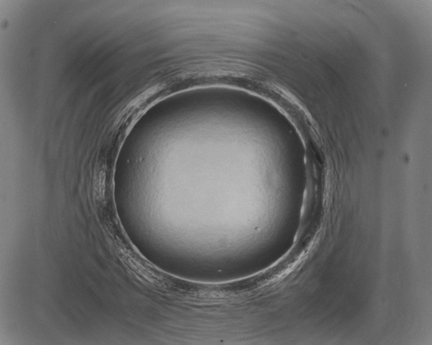 X0000083620777200702201315