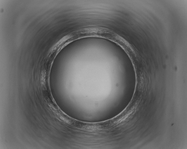 X0000083620778200702201315