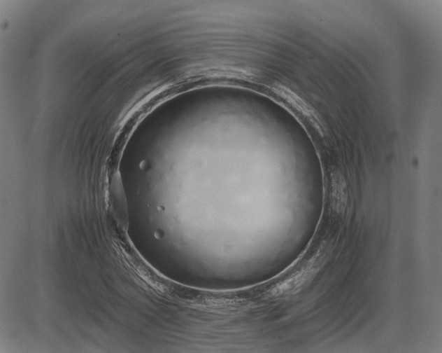 X0000083620782200702201315