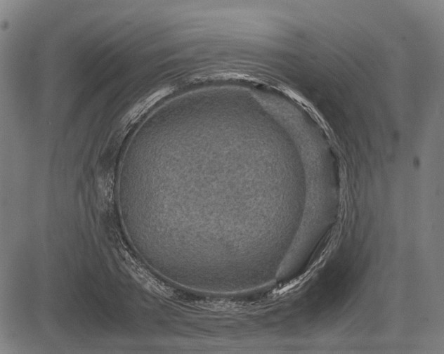 X0000083620785200702201315