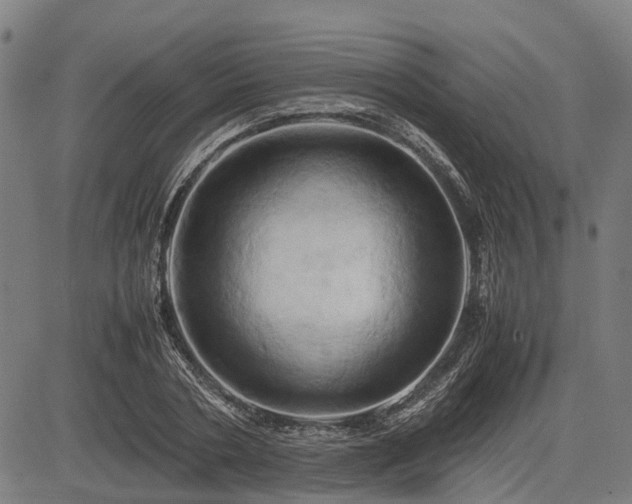 X0000083620786200702201315