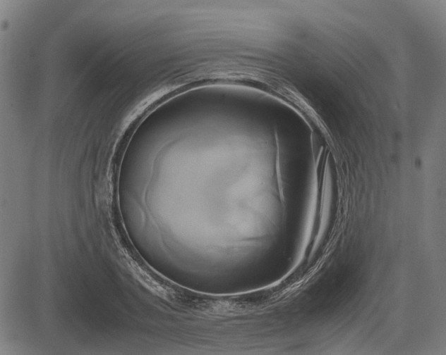 X0000083620787200702201315
