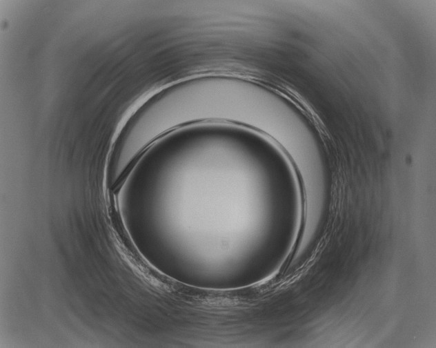 X0000083620788200702201315
