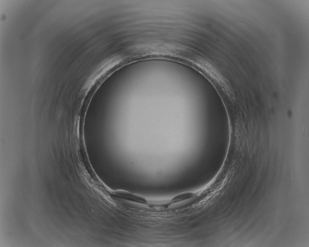 X0000083620790200702201315