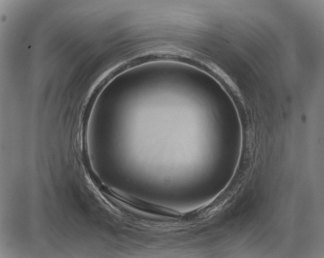 X0000083620791200702201315
