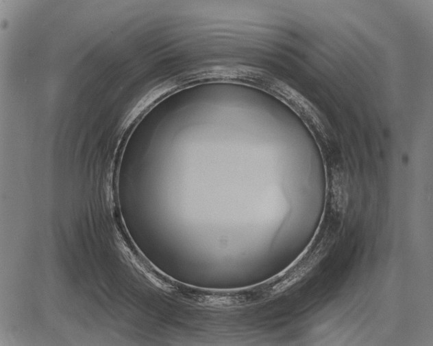 X0000083620794200702201315