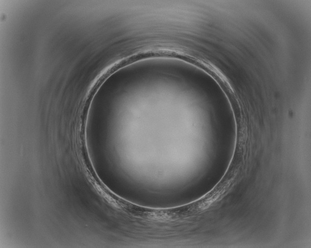 X0000083620799200702201315