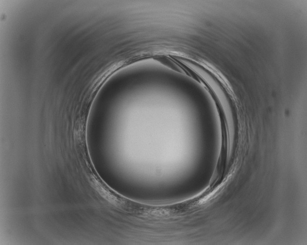 X0000083620801200702201315