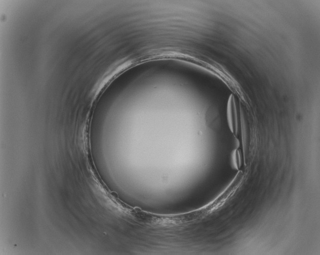 X0000083620806200702201314