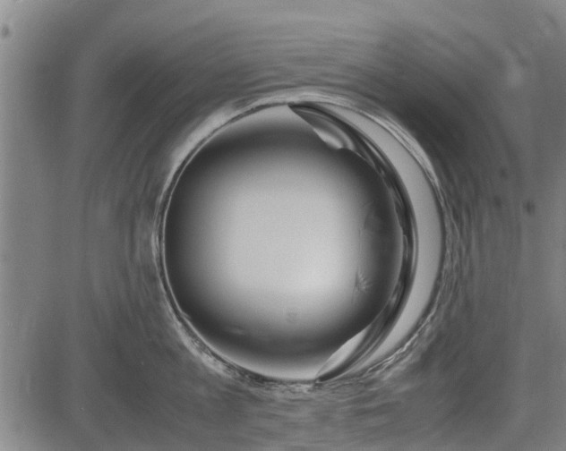 X0000083620813200702201314