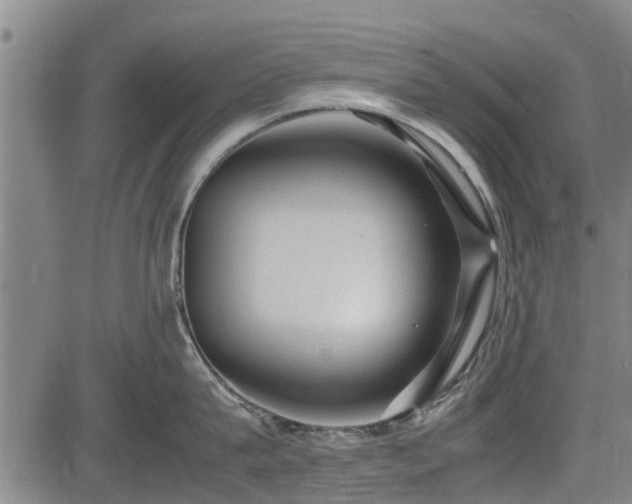X0000083620815200702201314