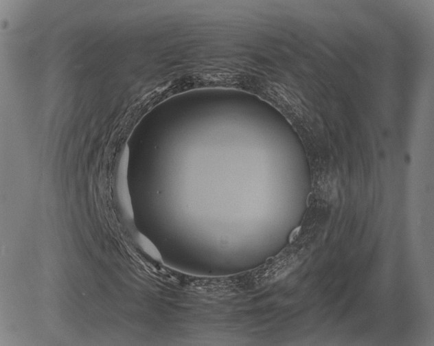 X0000083620817200702201313