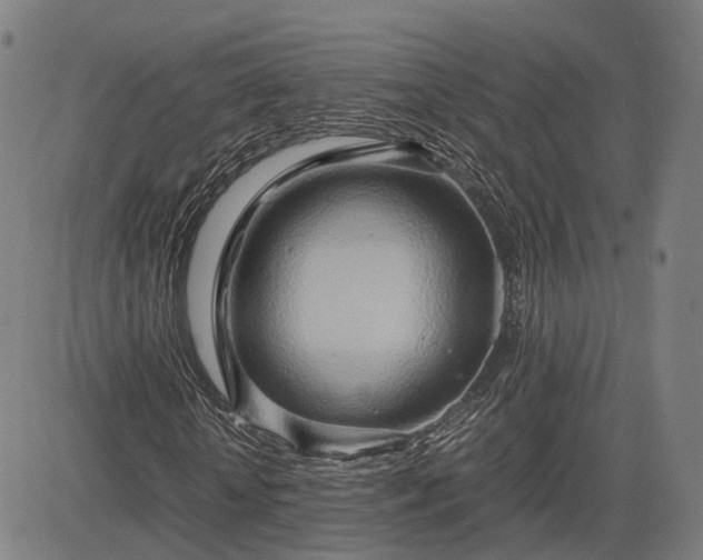 X0000083620818200702201313