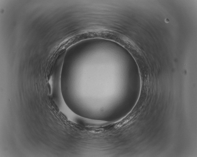 X0000083620822200702201314